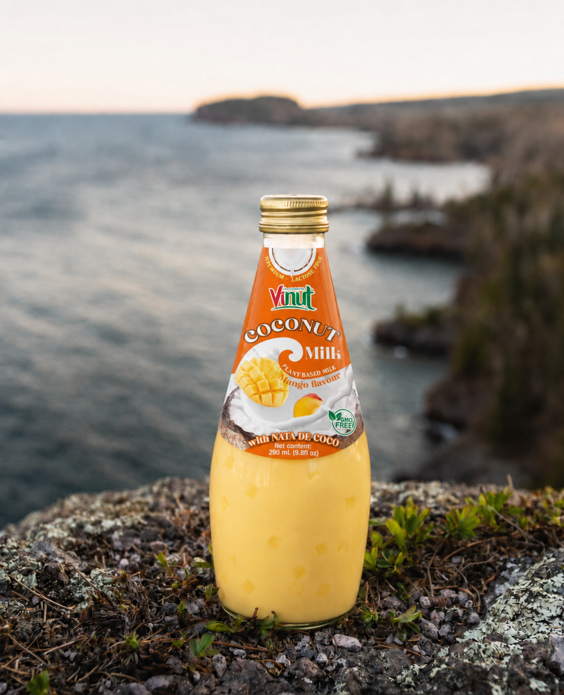 Mango Coconut Milk with Nata de Coco — 12 Pack | Creamy Coconut Drink with Jelly Pieces