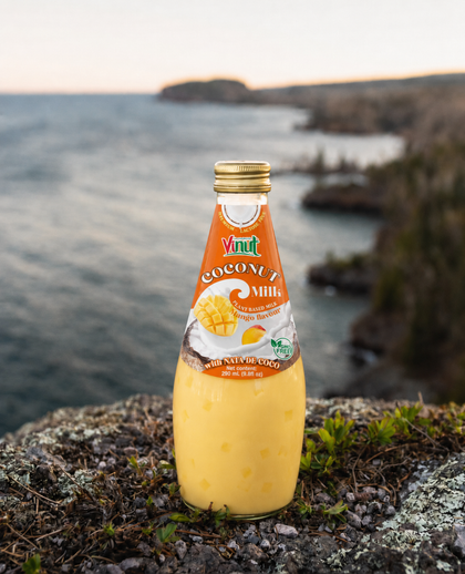 Mango Coconut Milk with Nata de Coco — 12 Pack | Creamy Coconut Drink with Jelly Pieces
