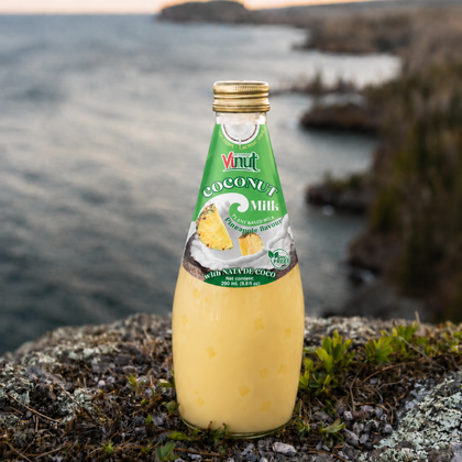 Pineapple Coconut Milk with Nata de Coco — 12 Pack | Creamy Coconut Drink with Jelly Pieces
