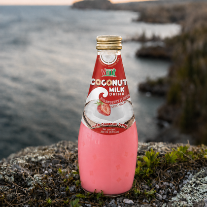 Strawberry Coconut Milk with Nata de Coco — 12 Pack | Creamy Coconut Drink with Jelly Pieces