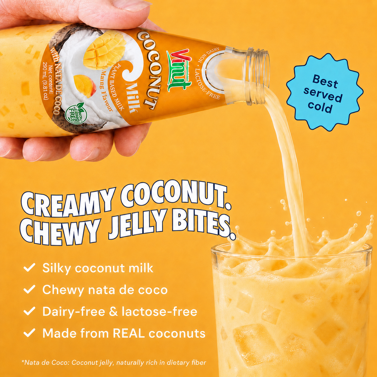 Mango Coconut Milk with Nata de Coco — 12 Pack | Creamy Coconut Drink with Jelly Pieces