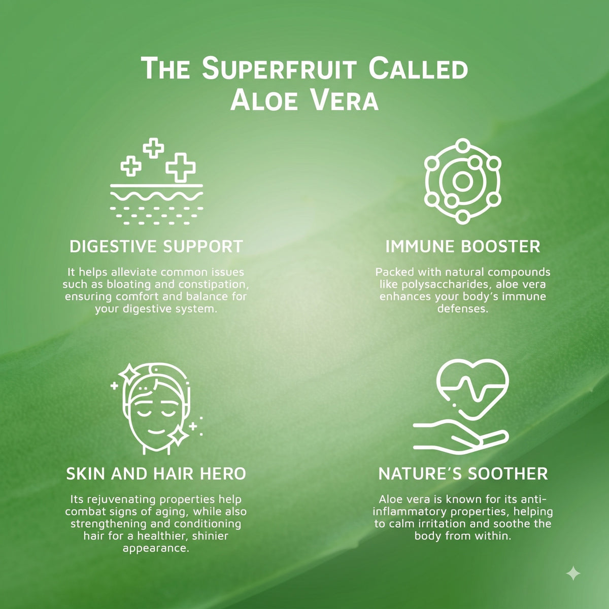 Original Aloe Vera