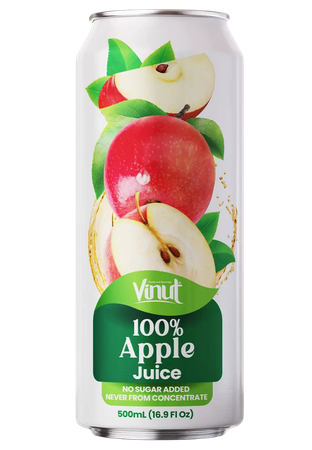 apple 100% fruit juice single can